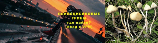 стаф Домодедово