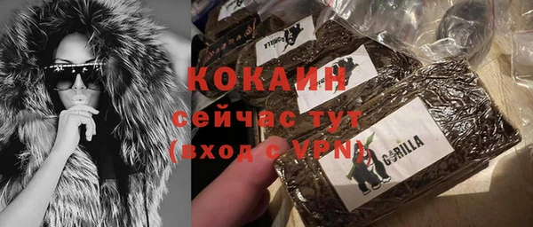 стаф Домодедово