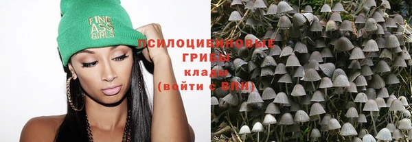 стаф Домодедово