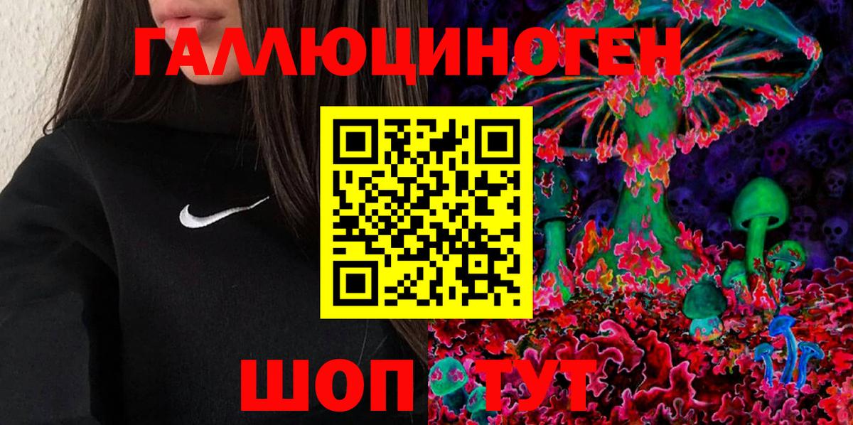 Галлюциногенные грибы Cubensis  Псилоцибиновые грибы мицелий  Аша 